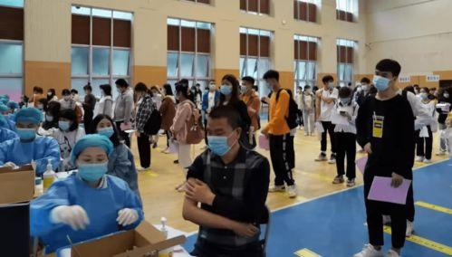 迪拜爆料网赌事件最新消息,揭秘背后惊人内幕  第3张